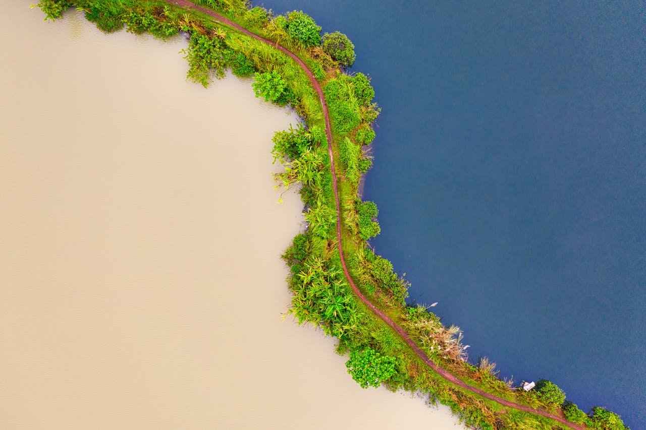 Aerial view of contrasting water bodies separated by lush green path in Banten, Indonesia.